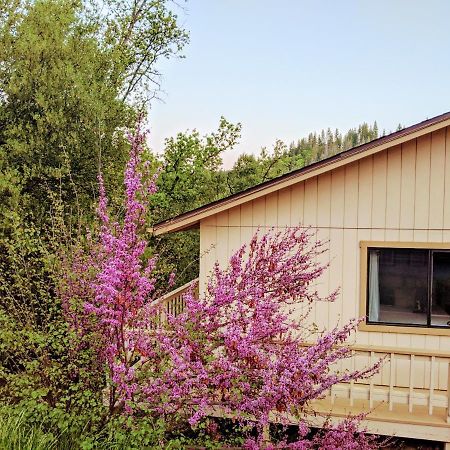 Yosemite Haven @ Pine Mountain Lake. Dog Friendly! 格罗夫兰 外观 照片