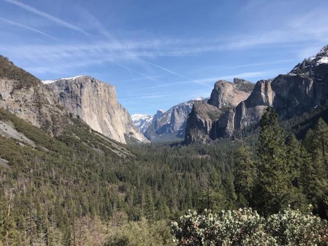 Yosemite Haven @ Pine Mountain Lake. Dog Friendly! 格罗夫兰 外观 照片