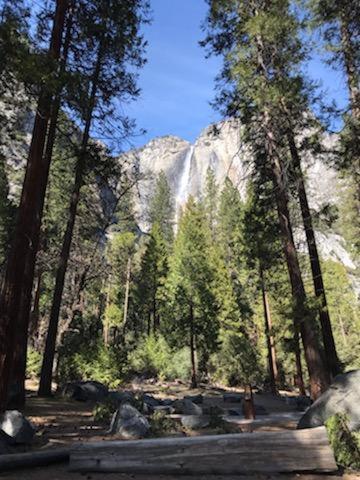 Yosemite Haven @ Pine Mountain Lake. Dog Friendly! 格罗夫兰 外观 照片